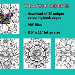 Swear Word Mandala Coloring Pages, Funny Adult Coloring Book, Cuss Words, Printable Adult Coloring Pages, Adult Color Therapy image 2