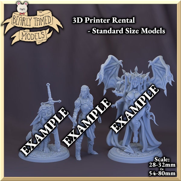 Standard Sized Models | 3D Printer Time Rental | Custom Printing | 12K XY Resolution, 0.03mm Per Layer | Hero Forge, MyMiniFactory & More