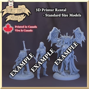 3D Printer Time Rental | Multiple Sizes | Custom Printing | 0.019 x 0.024mm Resolution, 0.03mm Layers