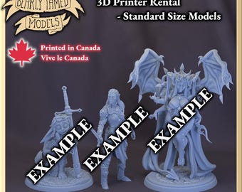 3D Printer Time Rental | Multiple Sizes | Custom Printing | 0.019 x 0.024mm Resolution, 0.03mm Layers