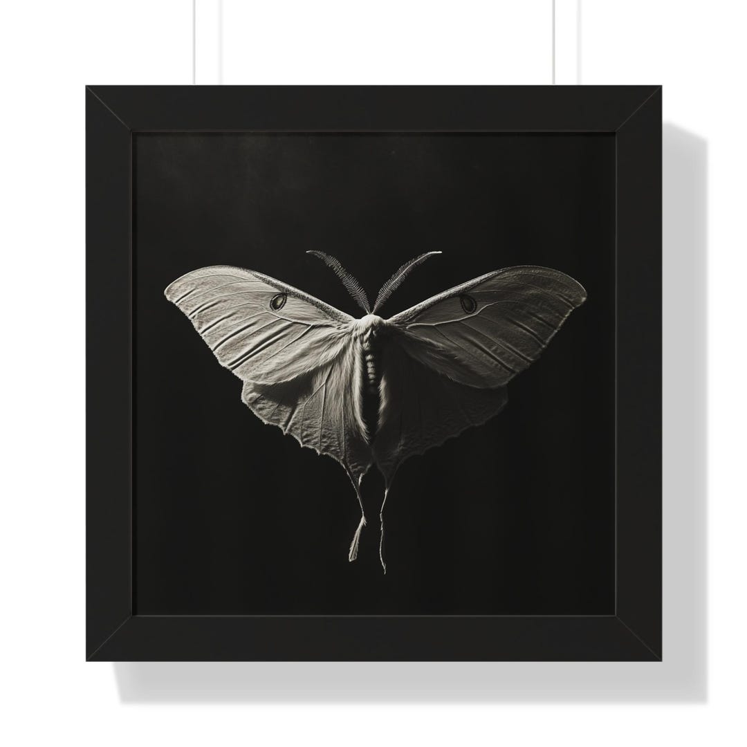 Luna Moth Framed Poster Wall Art, Black White Mystical Insect Print ...