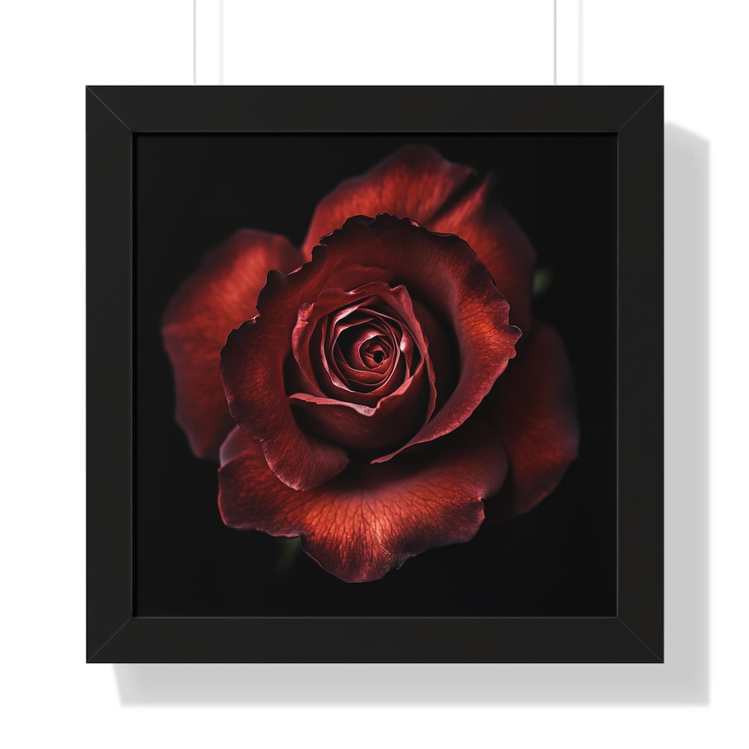 Elegant Dark Red Rose Framed Wall Art...