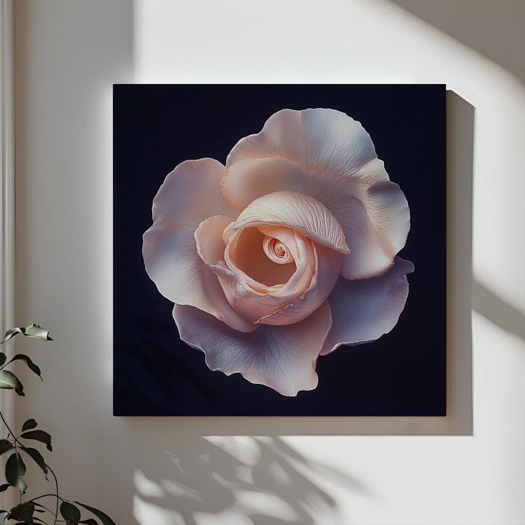 Elegant Realistic Blush Pink Rose Wall Art Print | Romantic Floral ...
