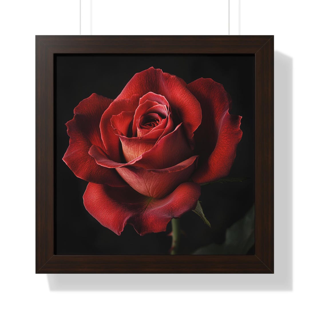 Luxury Red Rose Framed Wall Art Print - Romantic Floral Decor - Dark ...