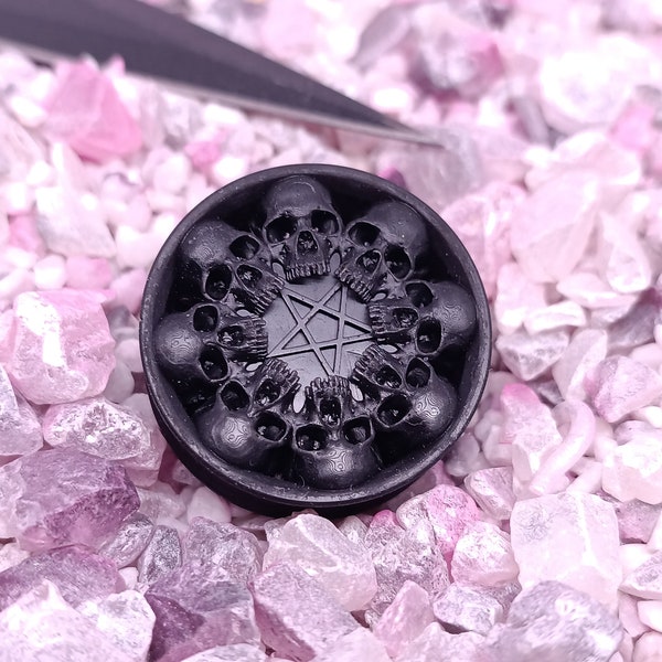 One Pair of skullcircle Plugs