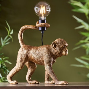 Monkey clearance light fitting