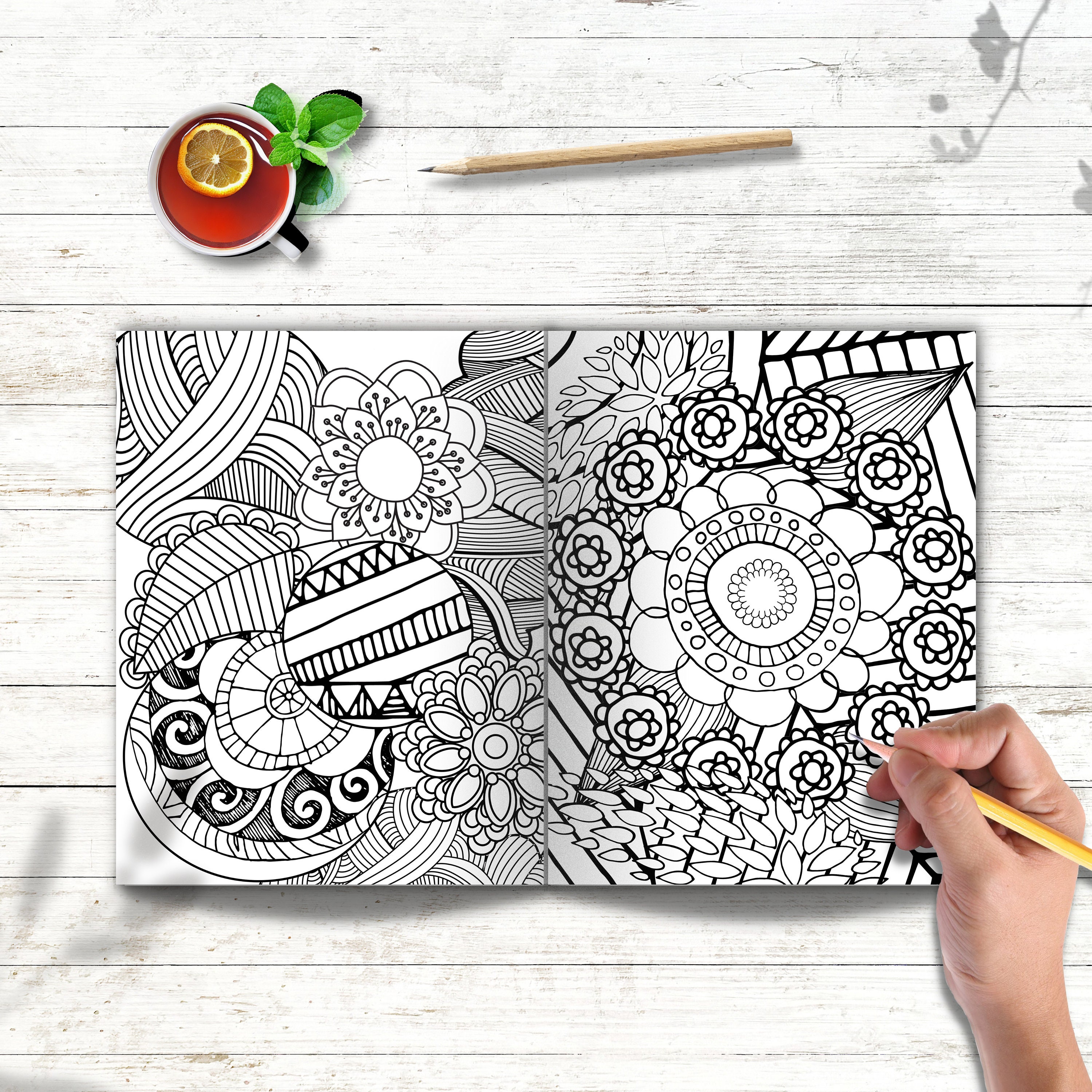 500 Coloring Pages for Adults & Teenagers, Adult Coloring Pages, Master