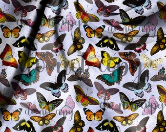 Monarch Butterfly Seamless File - Etsy