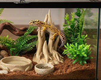 May include: A glass terrarium with a black frame, housing a leopard gecko. The habitat includes rocks, faux plants, a water dish, and a wooden branch. The gecko is yellow with black spots. Text at the bottom reads: For Terrarium use, please keep the model from direct contact with heat lights.