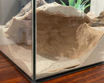Könnte beinhalten: Ein gläsernes Terrarium mit Sandsubstrat und einem braunen, strukturierten Versteck für ein kleines Reptil oder Amphib. Das Terrarium steht auf einer Holzoberfläche.