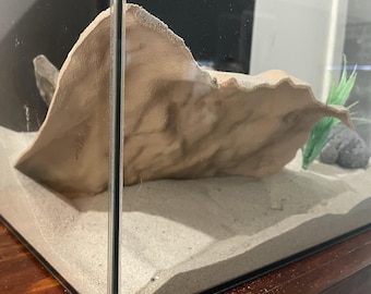 May include: A close-up of a glass terrarium with a beige, textured, rock-like background. The terrarium is filled with white sand and a small green plant.