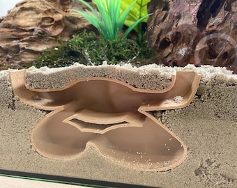 May include: A brown ant farm with a sand substrate and a wooden tunnel system. The tunnel system is designed to provide ants with a place to live and explore.