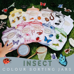 May include: A colorful insect-themed educational game featuring jar-shaped cards labeled with colors like purple, red, and blue. Each jar displays various insect illustrations, including butterflies and ladybugs. A magnifying glass and net are also included.