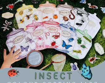 Montessori-aktivitetsspel med insektsfärgsortering: Matchande insektsburkar för småbarn i förskoleklass (PDF-nedladdning)
