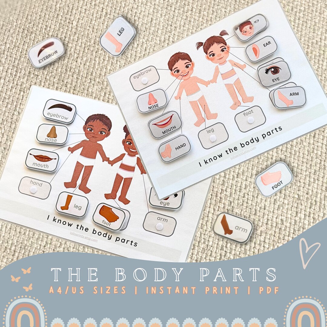 Body Parts Matching Game Prinatble for Preschool Kindergarten Kids ...