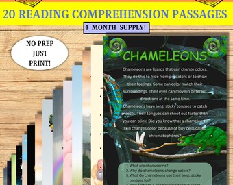 2nd grade reading writing Non fictional fun homeschooling comprehension passages- comprehension worksheets busy teachers second graders