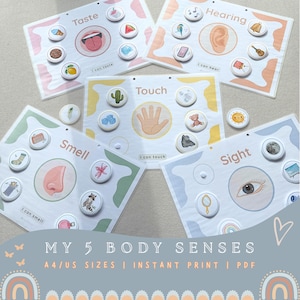 My Five 5 Senses Sorting Activity Printable, the human body pdf, Homeschool Resource, Busy Book insert, Toddlers ,pre k science  US/A4 sizes
