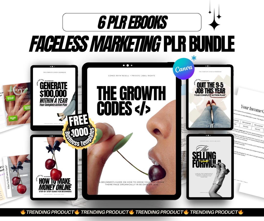 Faceless Marketing Bundle | 5 PLR Digital Products, Ebooks With Master ...