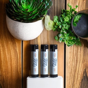 Lip Balm for Men, All Natural Facial Care, Mens Hygiene, Mens Grooming, Chapped Lips Balm for Dry Lips, Lip Moisturizer (Aloe + Mint)