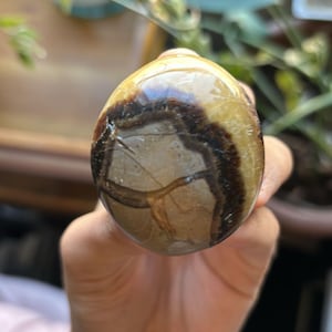 2nd Septarian palmstone