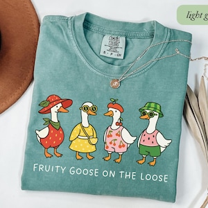Chemise ample du mois de la fierté LGBTQ+ Fruity Goose, t-shirt rigolote aux couleurs du confort, droits des homosexuels, cadeau lesbien, amis fruités, défilé de la fierté bi