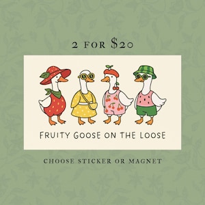 Fruity Goose On The Loose LGBTQ+ Bumper Sticker Or Car Magnet, Funny LGBT Pride Month Gift, Gay Lesbian Bi Queer Goose Waterproof Vinyl