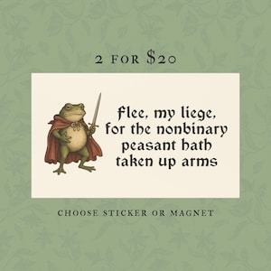Funny Nonbinary Bumper Sticker Or Car Magnet, Genderfluid Medieval Frog, Non Binary Enby Pride, LGBTQ Genderqueer Waterproof Vinyl, Agender