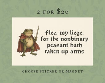 Funny Nonbinary Bumper Sticker Or Car Magnet, Genderfluid Medieval Frog, Non Binary Enby Pride, LGBTQ Genderqueer Waterproof Vinyl, Agender