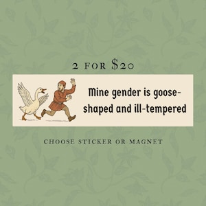 Funny Nonbinary Bumper Sticker Or Car Magnet, Genderfluid Medieval Goose, Non Binary Enby Pride, LGBTQ Genderqueer Waterproof Vinyl, Agender