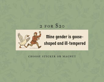 Funny Nonbinary Bumper Sticker Or Car Magnet, Genderfluid Medieval Goose, Non Binary Enby Pride, LGBTQ Genderqueer Waterproof Vinyl, Agender