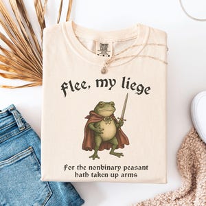 Funny Nonbinary Medieval Frog Shirt, Comfort Colors Enby Tee, LGBTQ Pride Month Gift