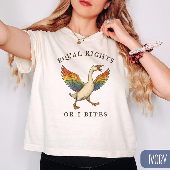 Equal Rights Or I Bites Rainbow Goose Crop Top, LGBTQ Pride Equality Comfort Colors Boxy Tee, Gay Rights Ally Gift, Funny Protest Shirt