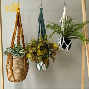 May include: Three macrame plant hangers with different coloured cords and plants. The hangers are hanging from the ceiling and the plants are in pots. The plants are a green fern, a yellow and green plant, and a white and green plant.