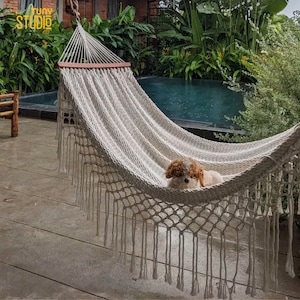Peut inclure: Un hamac blanc à franges suspendu entre deux arbres. Un petit chien est allongé dans le hamac. Le hamac est suspendu au-dessus d'une piscine.