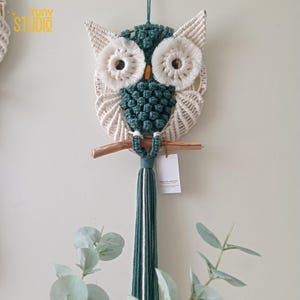May include: Macrame owl wall hanging in cream, teal, and brown. The owl features large, fluffy cream-colored eyes, a teal body, and a wooden perch. A long teal and cream tassel hangs below. The owl is suspended from a cream-colored cord.