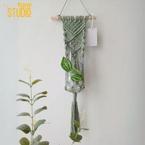 May include: A sage green macrame plant hanger with a clear glass vase. The hanger is suspended from a wooden dowel and features intricate knotting patterns. A small plant with green and white leaves is inside the vase. The text "TUNY STUDIO" is in the upper left corner.