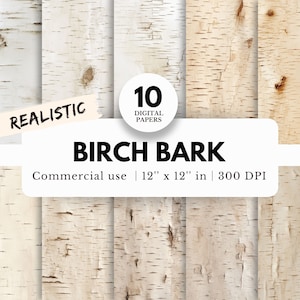10 papiers numériques à texture d'écorce de bouleau, 12 x 12, téléchargement de fichiers JPG, bouleau réaliste, blanc et beige, mariage rustique, sublimation, travaux manuels