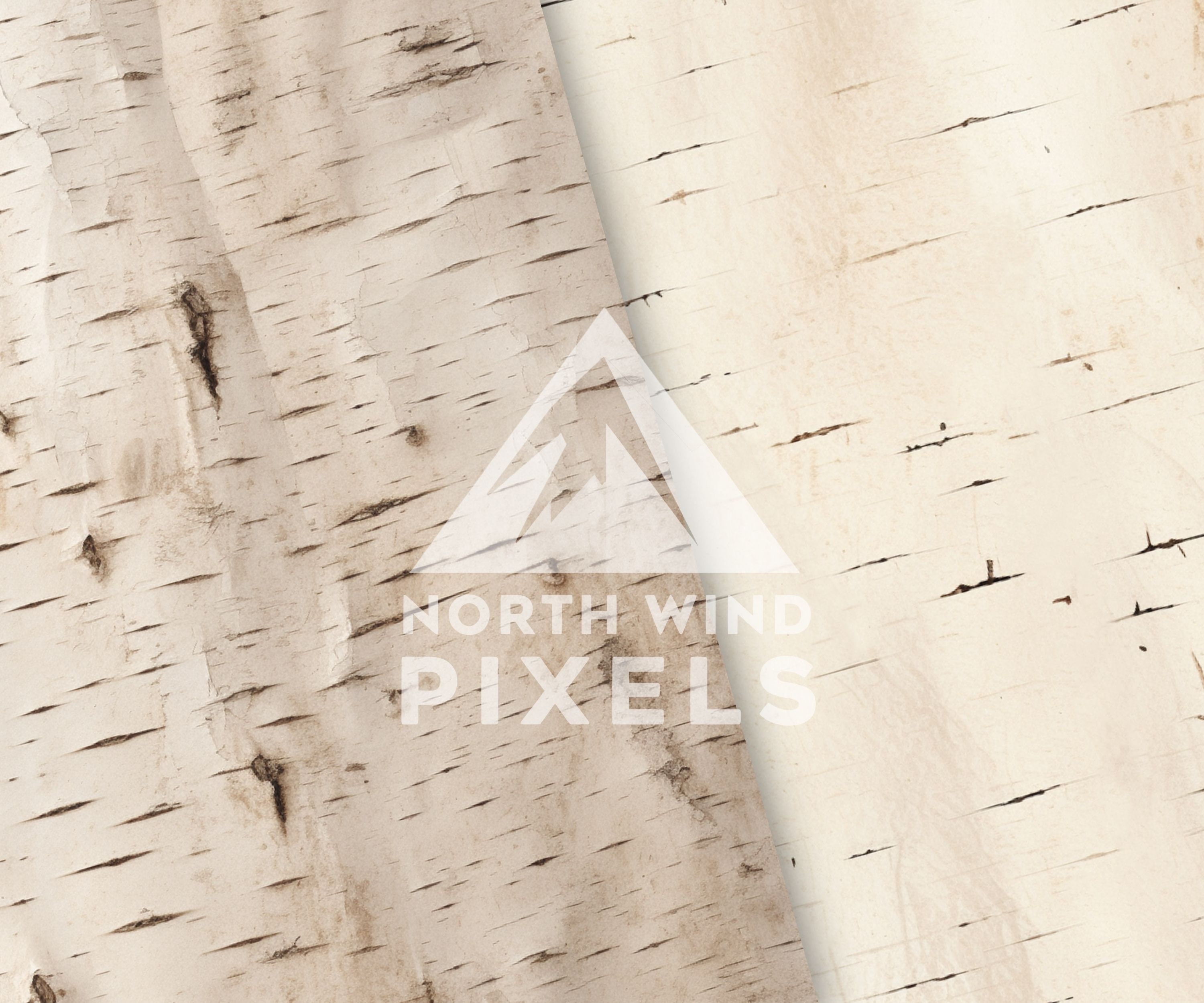 10 Birch Bark Texture Digital Papers, 12x12, JPG Files Download ...