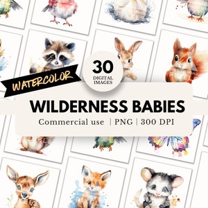 30 clipart de animais selvagens em aquarela, PNG, fundo transparente, selva urbana, ilustrações fofas, com esquilo, pato, raposa, pássaro
