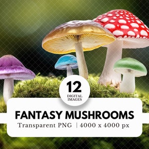 12 cliparts champignon fantastique, fichiers PNG, fond Transparent, Images à usage Commercial, superpositions numériques réalistes, fantaisistes pour la photographie