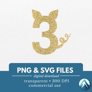 Verjaardagsnummer 3 varken, PNG- en SVG-bestanden, digitale download, oren schattig varkentje, gekrulde staart, 3e verjaardag, voor taarttoppers, borden, shirts