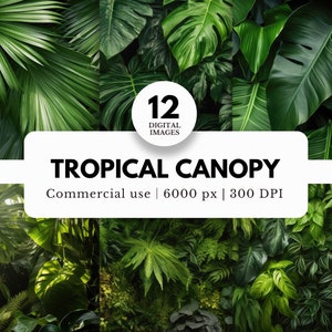 12 cenários digitais de dossel tropical para fotógrafos, arquivos JPG, Big Monstera e folhas de palmeira, com chão, para maternidade, retratos de estúdio
