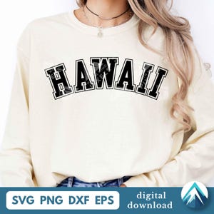 Puede incluir: Una sudadera de manga larga de color crema con la palabra HAWAII impresa en una fuente universitaria negra, audaz y arqueada en el pecho. La prenda tiene un cuello redondo y mangas largas, lo que proporciona una estética sencilla y limpia.