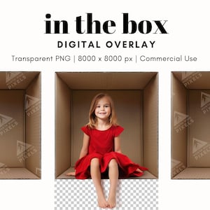 1 caja de cartón vacía, fondo digital, PNG, imagen transparente, fotografía en la caja para niños, familia, mascotas, parejas, aula, vacaciones