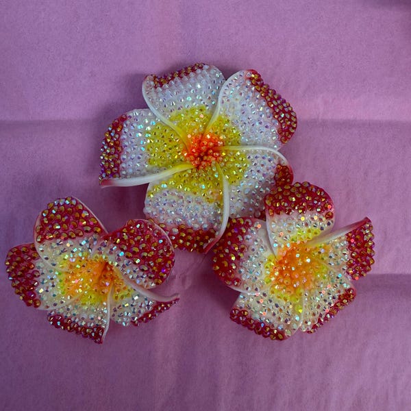 3pc hair clips