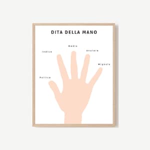 Vingers van de handposter voor kinderen, digitaal formaat. Educatief doel in het ITALIAANS.