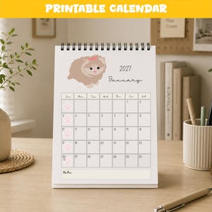 May include: A white spiral-bound desk calendar for January 2027 featuring a tan fluffy cat illustration with a pink bow. The grid displays dates from 1 to 31, with small pink paw print icons marking the Sundays. The text reads 2027 and January.