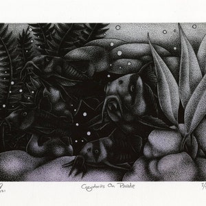 May include: Black and white stippled art print titled "Corydoras On Parade" featuring several catfish swimming among aquatic plants. The artwork has a detailed, textured appearance with bubbles and a light background. Signed and dated 2021.
