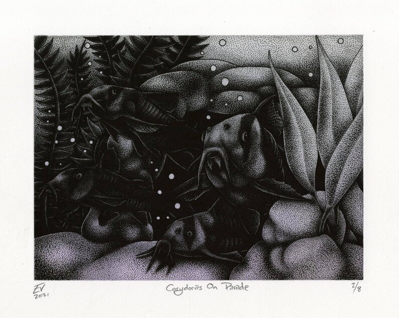 May include: Black and white stippled art print titled "Corydoras On Parade" featuring several catfish swimming among aquatic plants. The artwork has a detailed, textured appearance with bubbles and a light background. Signed and dated 2021.