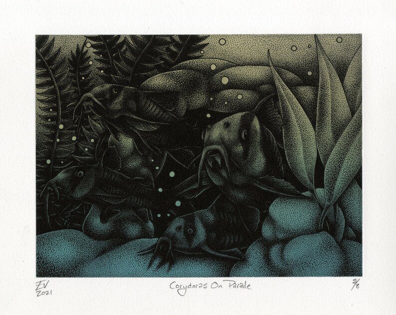May include: An artistic print titled "Corydoras On Parade" features several fish swimming among aquatic plants. The artwork is primarily in shades of black, teal, and gray, with a stippled texture. The print includes the artist's initials and the year 2021.